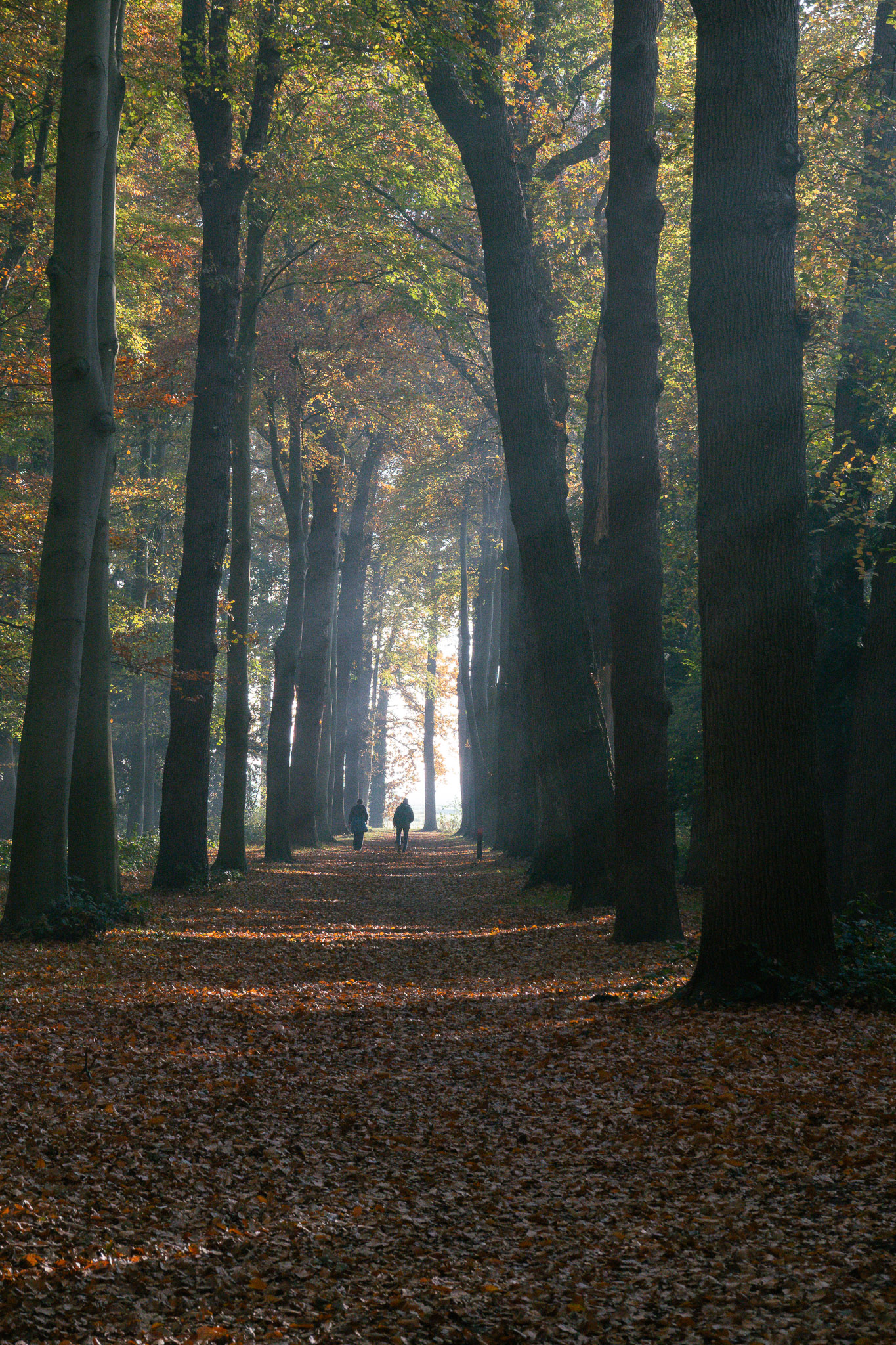 20251108   Huys te Warmond met Brigitte   002